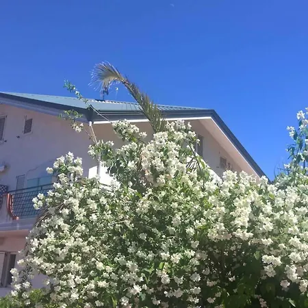 לינה וארוחת בוקר Tetto