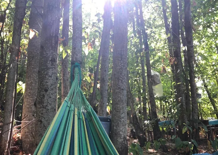 Tetto לינה וארוחת בוקר *